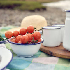 enamel bowl for camping and picnics thumbnail