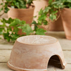 Terracotta pot with engraved design on a wooden surface with green plants in the background