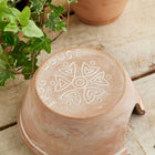 Terracotta Frog and Toad House with engraved design on a wooden surface with plants in the background