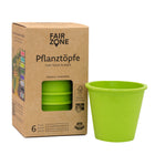 Fair trade rubber planter 6 pack