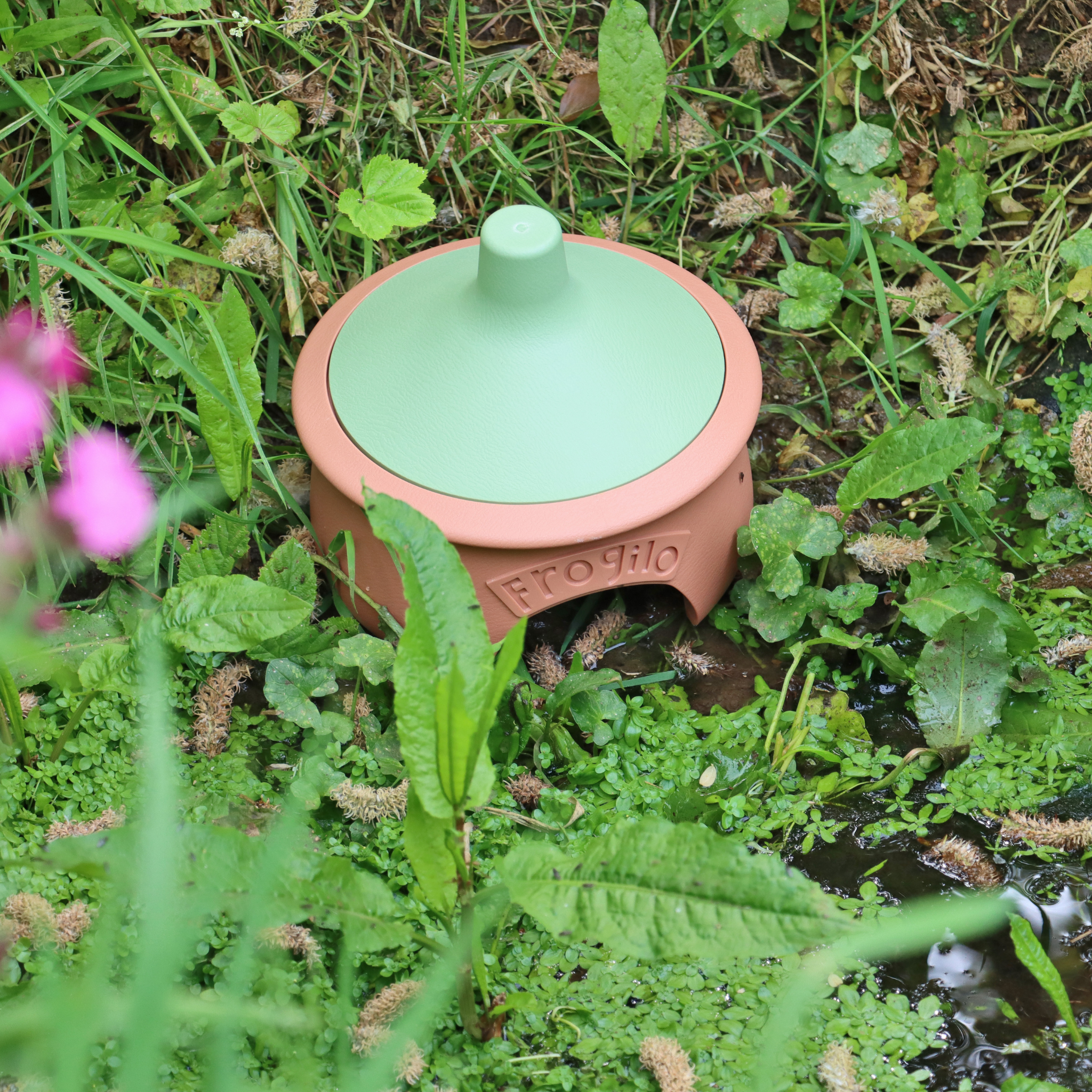 Frogilo Eco Frog House in place by pond.