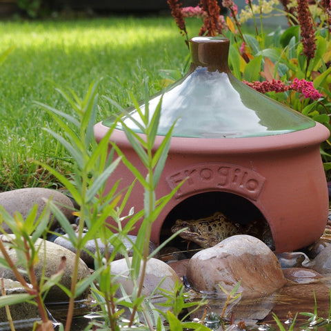 Ceramic frog and toad shelter