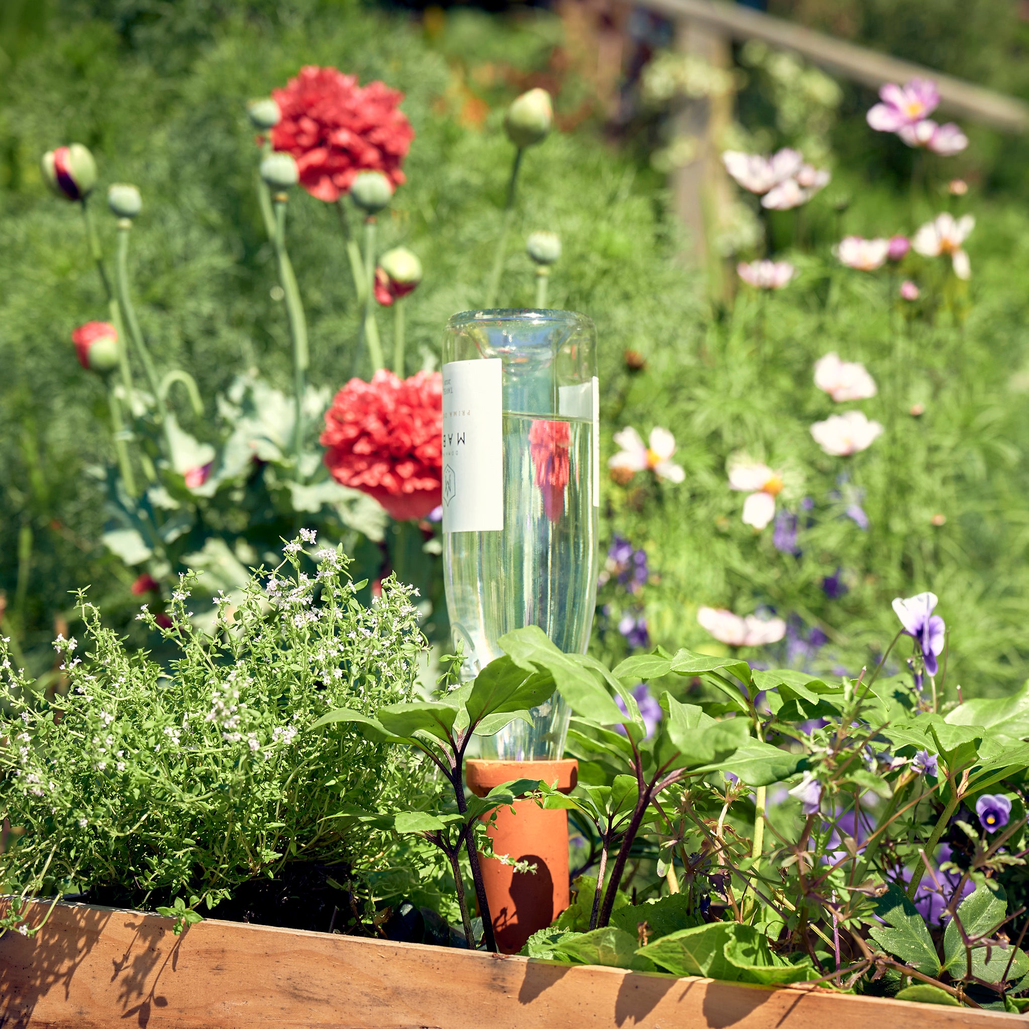 self watering spikes for outdoor plants Fair Zone Self-Watering Terracotta Spikes – Chimney Sheep