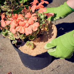 jute mulch mat in plant pot thumbnail