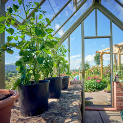 wool garden felt thumbnail