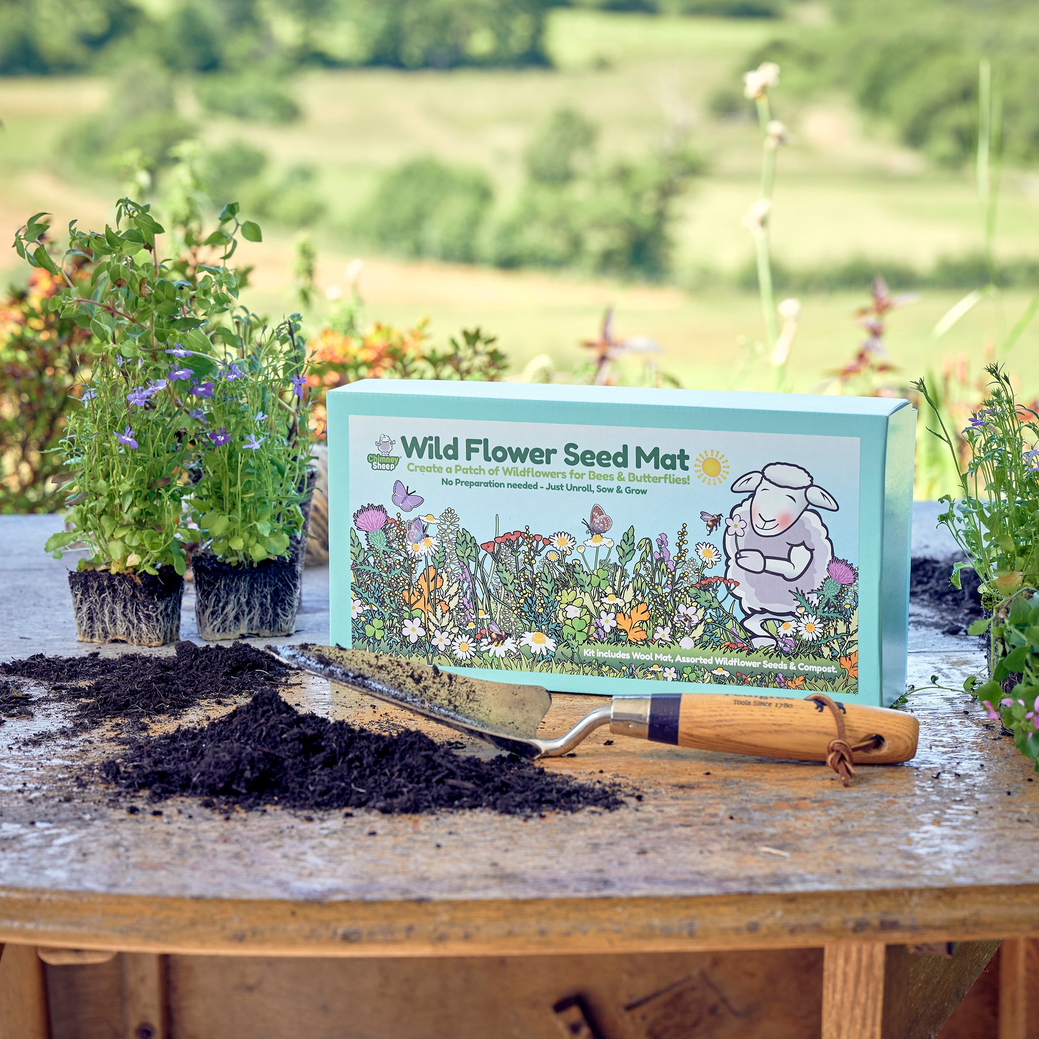 wildflower meadow seed mats Wildflower Seed Mat Kit – Chimney Sheep