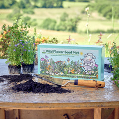 no dig gardening wildflower seed kit thumbnail