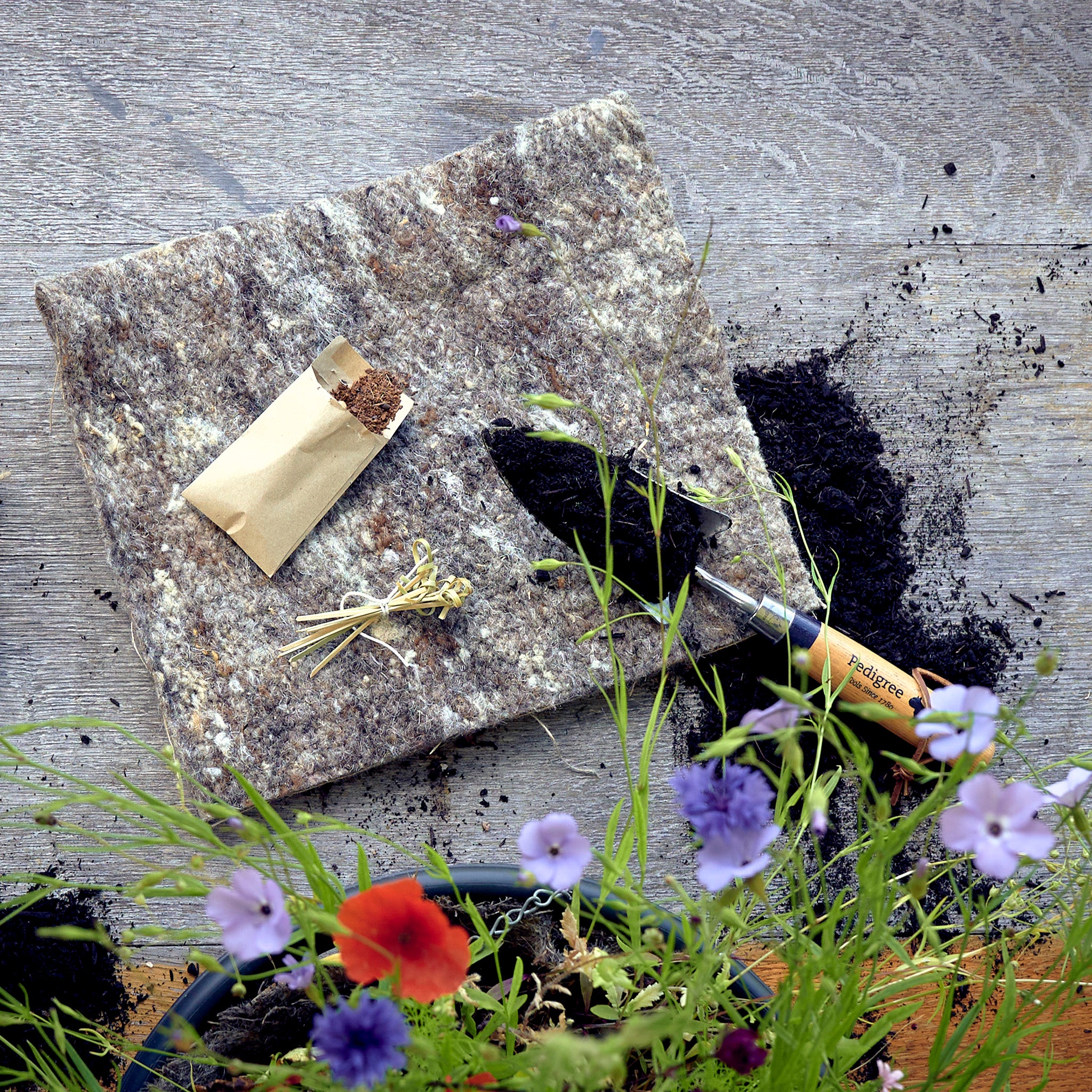 gardening seed mat kit for wildflowers