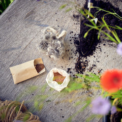 seed bomb kit thumbnail