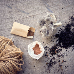 seed bomb kit thumbnail