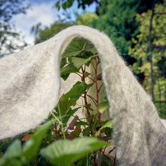 sheep's wool garden fleece protection thumbnail