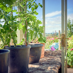 wool garden felt thumbnail