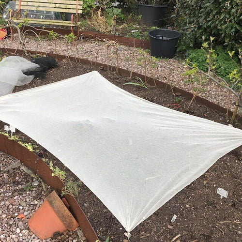 Organic vegetable protection net covering plants.