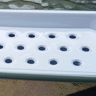 White enamel soap dish with sage green rim