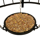 Ground Feeder close up with bird food 