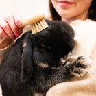 Hillbrush Natural Bristle Pet Brush | FSC Beechwood, Made in Britain