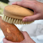 FSC timber and natural bristle vegetable scrubbing brush with two hands  to clean a sweet potato