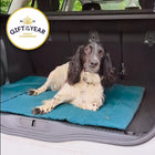Dog lying on a roll-up dog mat with a 'Gift of the Year' award badge in the corner.