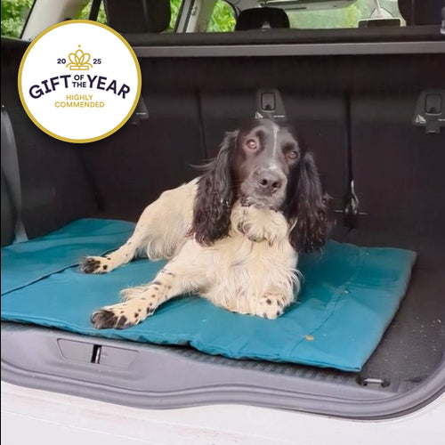Two collie dogs on roll-up dog bed with a 'Gift of the Year' award badge.