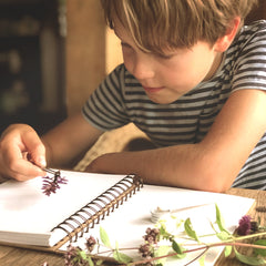 boy with herbarium kit thumbnail
