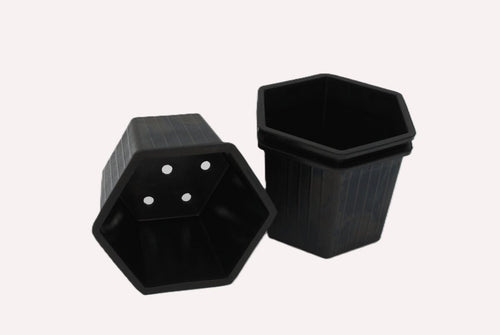 Plastic Free Gardening Rubber Hexagonal Flower Pot