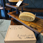Soft brush and stiff brush from the horse care grooming kit, plus box on wooden shelf