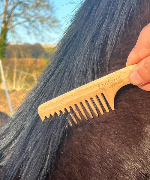 Natural bristle horse care grooming kit in a kraft box