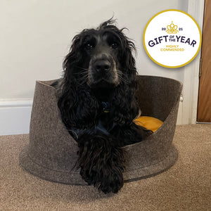 Black dog sitting in a grey pet bed with a 'Gift of the Year' award badge in the corner.