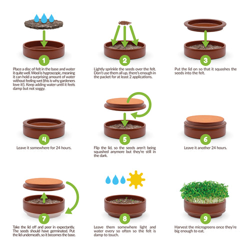terracotta microgreen grower growing cress on a wooden surface, with a 'Gift of the Year' award badge in the corner.