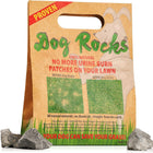600g Big Bag of Dog Rocks to stop burn patches on your lawn.