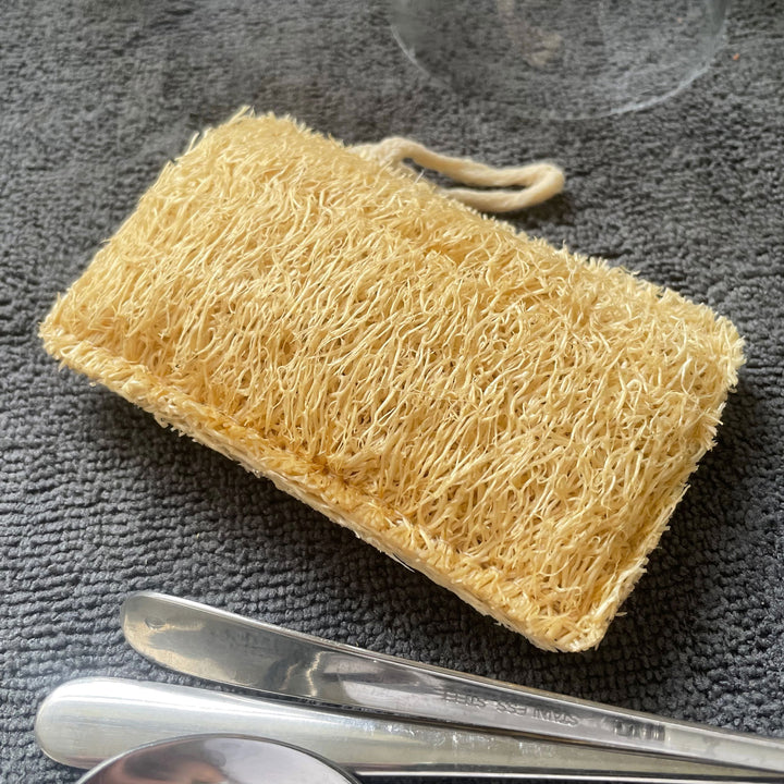 Biodegradable alternative to dish washing plastic sponges