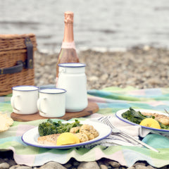 enamel outdoor picnic set thumbnail