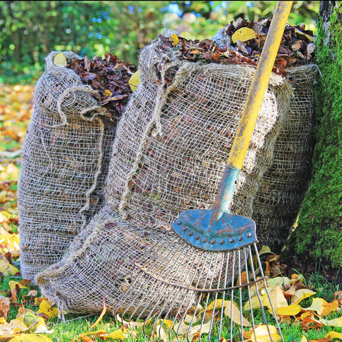 Compostable leaf sacks