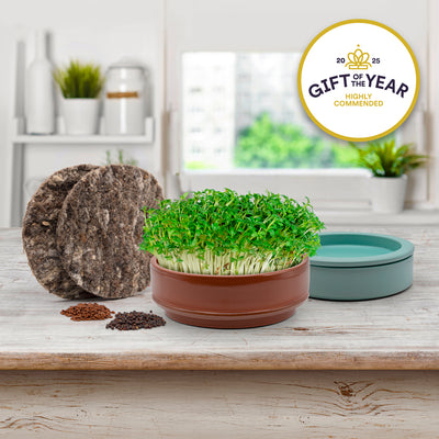 terracotta microgreen grower growing cress on a wooden surface, with a 'Gift of the Year' award badge in the corner.