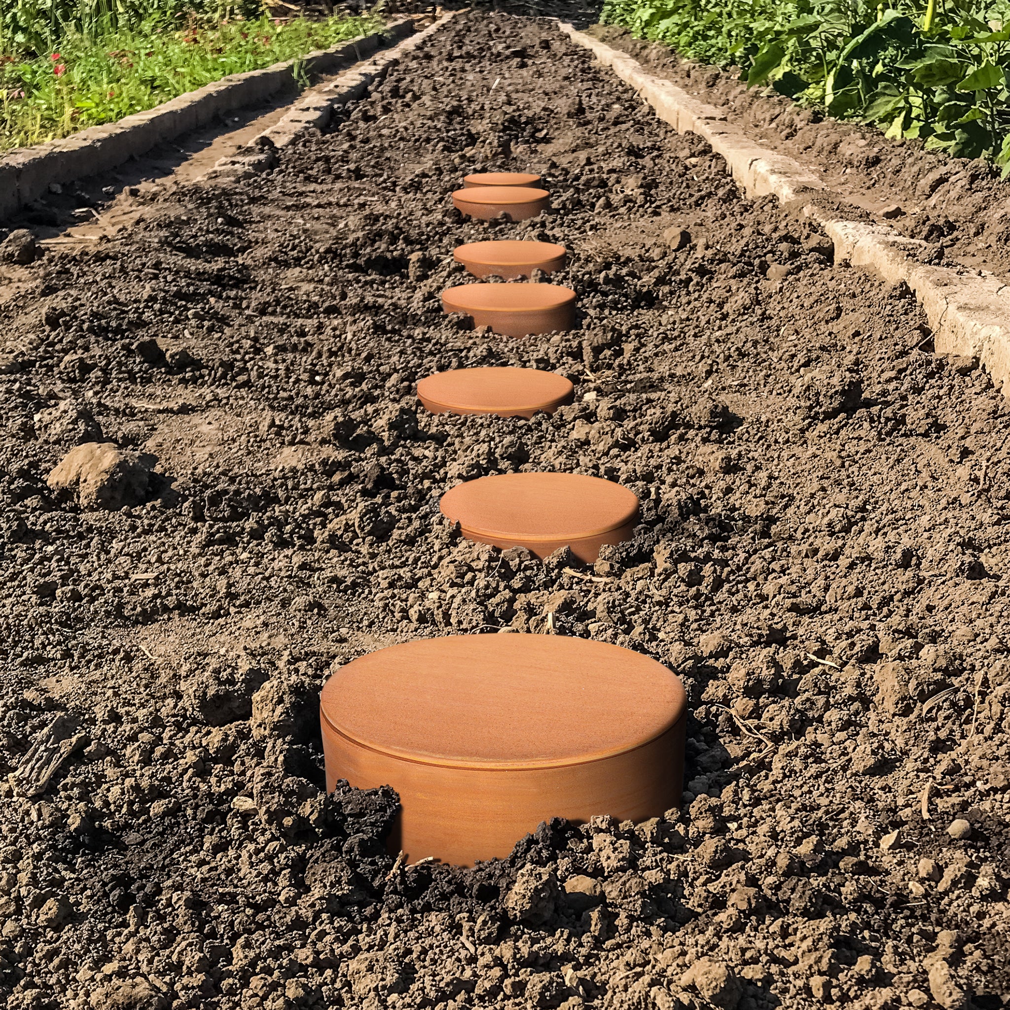 Four litre olla pots lined up in vegetable bed.