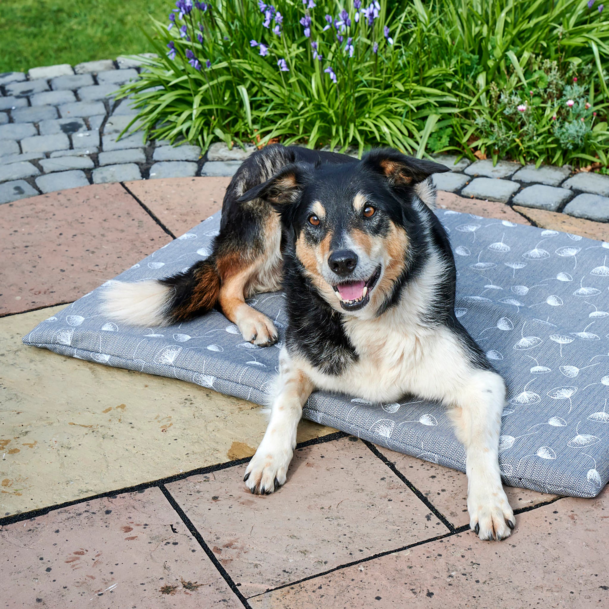 A black, white and tan tricolour collie sits upon a Chimney Sheep luxury wool dog bed. The felted wool dog bed sits upon a brown patio, with green plants behind. The tricolour collie is looking forward