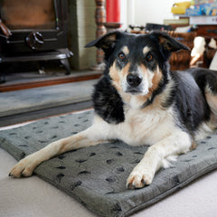 A tricolour border collie dog sits upon a Chimney Sheep luxury wool dog bed. The thick felted wool dog bed rests upon a carpet in front of a log burning stove. The border collie looks forward as it rests upon the rectangular thick woollen dog bed with an organic cotton cover. thumbnail