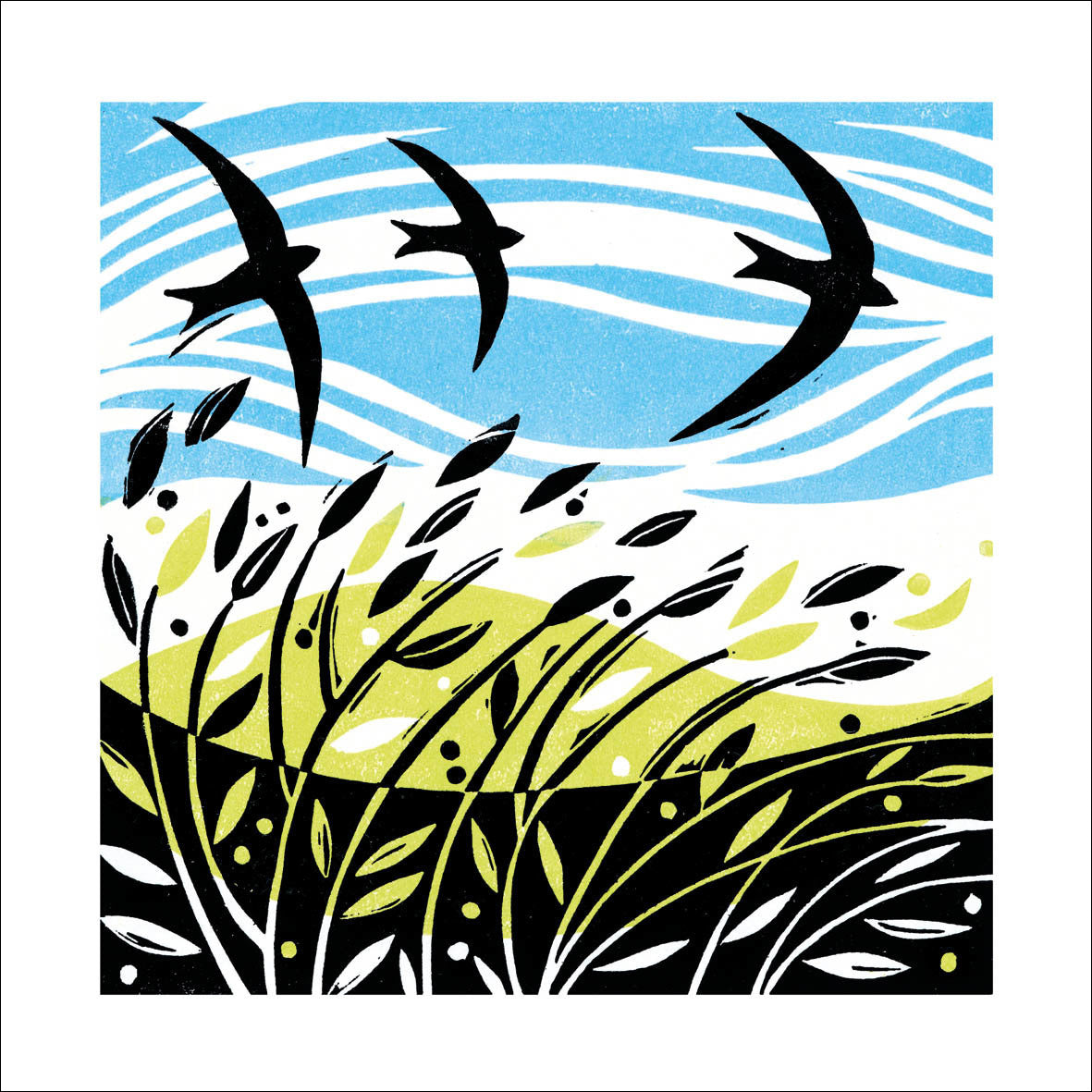 Swooping Swifts Blank Card Design