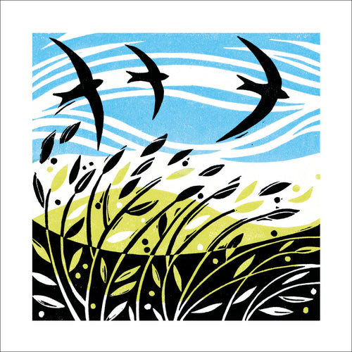 Late Sun at Port Isaac Blank Card Design