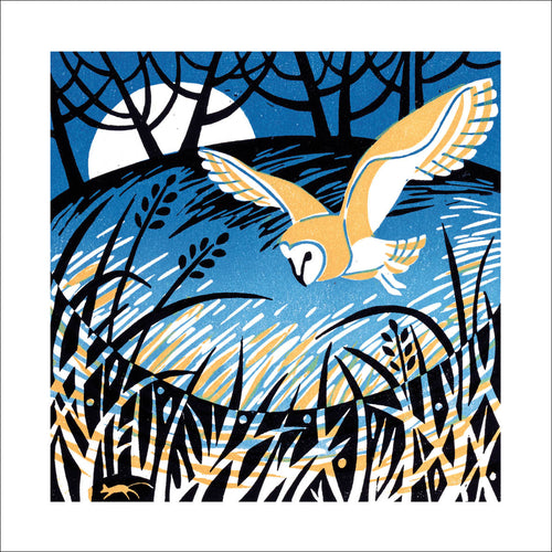 Late Sun at Port Isaac Blank Card Design