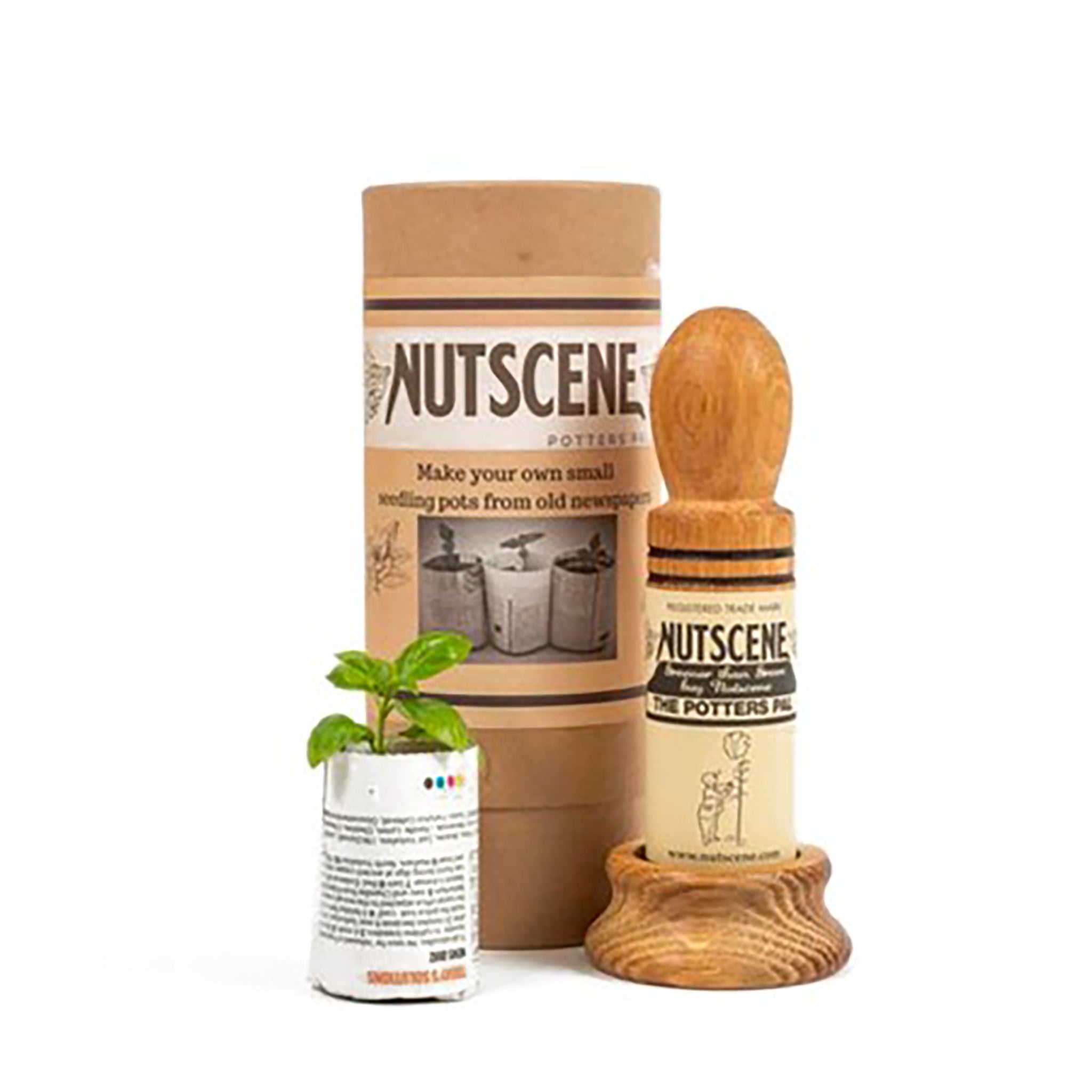 Nutscene potters pal kit with cardboard display tube, next to a seedling placed in a newspaper seedling pot