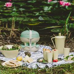 Picnic set for four  thumbnail
