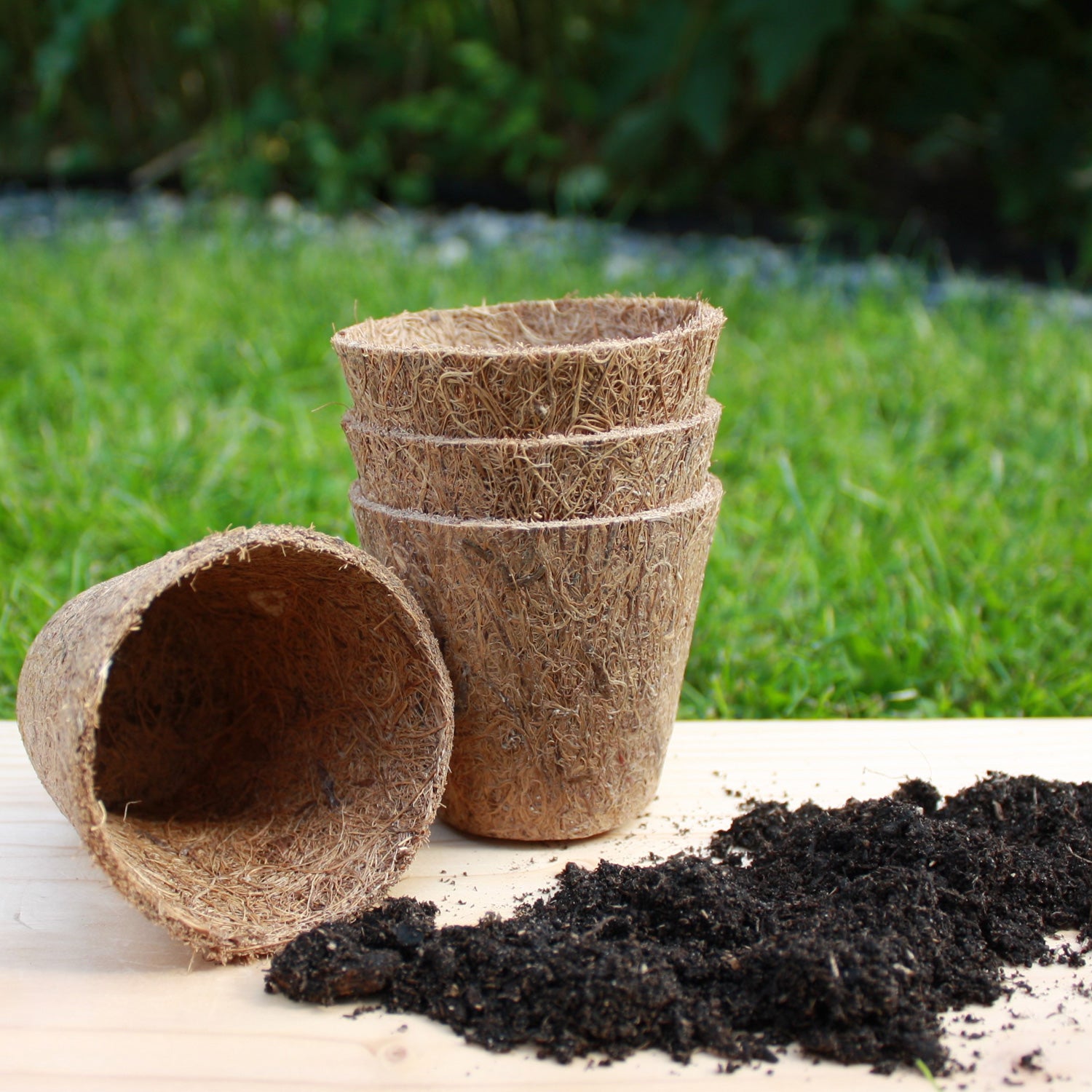 Natural rubber and coir seed pots stood on a table with compost on. 