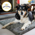 Dog lying on a grey organic fabric and wool pet mat with a 'Gift of the Year Highly Commended' badge in the corner.