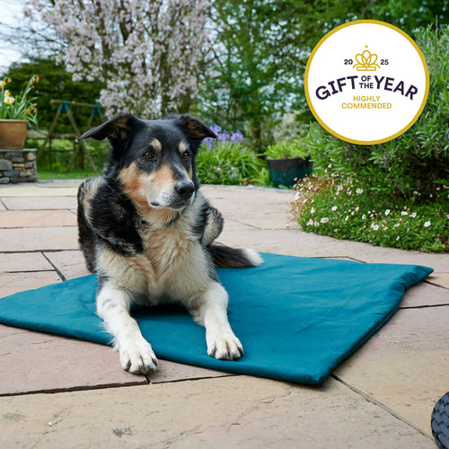 Two collie dogs on roll-up dog bed with a 'Gift of the Year' award badge.