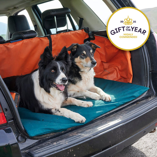 Two collie dogs on roll-up dog bed with a 'Gift of the Year' award badge.
