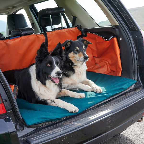 Dog bed for car boot hotsell