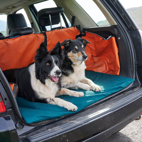 Two border collies in back of a car on a Chimney Sheep Rollup Travel Bed