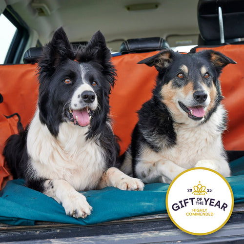 Two collie dogs on roll-up dog bed with a 'Gift of the Year' award badge.