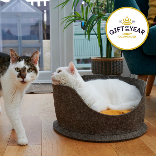 White cat lying in a grey felt pet bed with a 'Gift of the Year Highly Commended' badge.